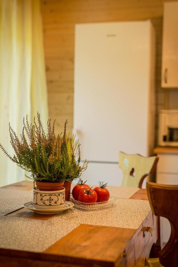 Gosciniec Tokarzonka Villa Istebna Ngoại thất bức ảnh